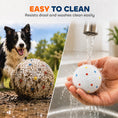 Load image into Gallery viewer, 6 Pack Dog Balls Toys Fits Aggressive Chewers, Indestructible Teething and Water ETPU Balls for Throw and Fetch, High Bounce Interactive Toys for Small and Medium Dogs, 5.8cm/2.3Inch
