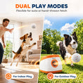 Load image into Gallery viewer, 6 Pack Dog Balls Toys Fits Aggressive Chewers, Indestructible Teething and Water ETPU Balls for Throw and Fetch, High Bounce Interactive Toys for Small and Medium Dogs, 5.8cm/2.3Inch
