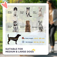 Load image into Gallery viewer, Pet Stroller with Universal Front Wheels, Shock Absorber, One-Click Foldable Dog Cat Carriage with Brakes, Storage Bags, Safety Leash for Large & Medium Dogs, Dark Grey
