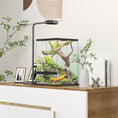 Load image into Gallery viewer, Glass Reptile Terrarium, 40L Vivarium for Lizards, Frogs, Snakes, Turtles, Tortoises, with Ventilation, 30 x 30 x 45cm
