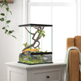 Load image into Gallery viewer, Glass Reptile Terrarium, 40L Vivarium for Lizards, Frogs, Snakes, Turtles, Tortoises, with Ventilation, 30 x 30 x 45cm
