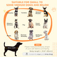 Load image into Gallery viewer, Dog Crate Furniture with Lockable Magnetic Door, Adjustable feet, Indoor Dog Kennel End Table for Small & Medium Dogs, Grey
