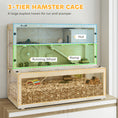 Load image into Gallery viewer, Wooden Hamster Cage, Large Gerbil Cage with Hut, Wheel, Ramps, 3 Tier Small Animal Habitat with Removable Viewing Panels, 100 x 50 x 84 cm, Natural Wood
