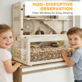 Load image into Gallery viewer, Wooden Hamster Cage, Large Gerbil Cage with Hut, Wheel, Ramps, 3 Tier Small Animal Habitat with Removable Viewing Panels, 100 x 50 x 84 cm, Natural Wood
