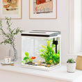 Load image into Gallery viewer, Aquarium, 28L Glass Fish Tank with Filter, LED Lighting, Water Pump, for Bettas, Guppies, Mini Parrot Fishes, Shrimp, Goldfish, 38 x 26 x 39.5cm
