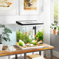 Load image into Gallery viewer, Aquarium, 28L Glass Fish Tank with Filter, LED Lighting, Water Pump, for Bettas, Guppies, Mini Parrot Fishes, Shrimp, Goldfish, 38 x 26 x 39.5cm
