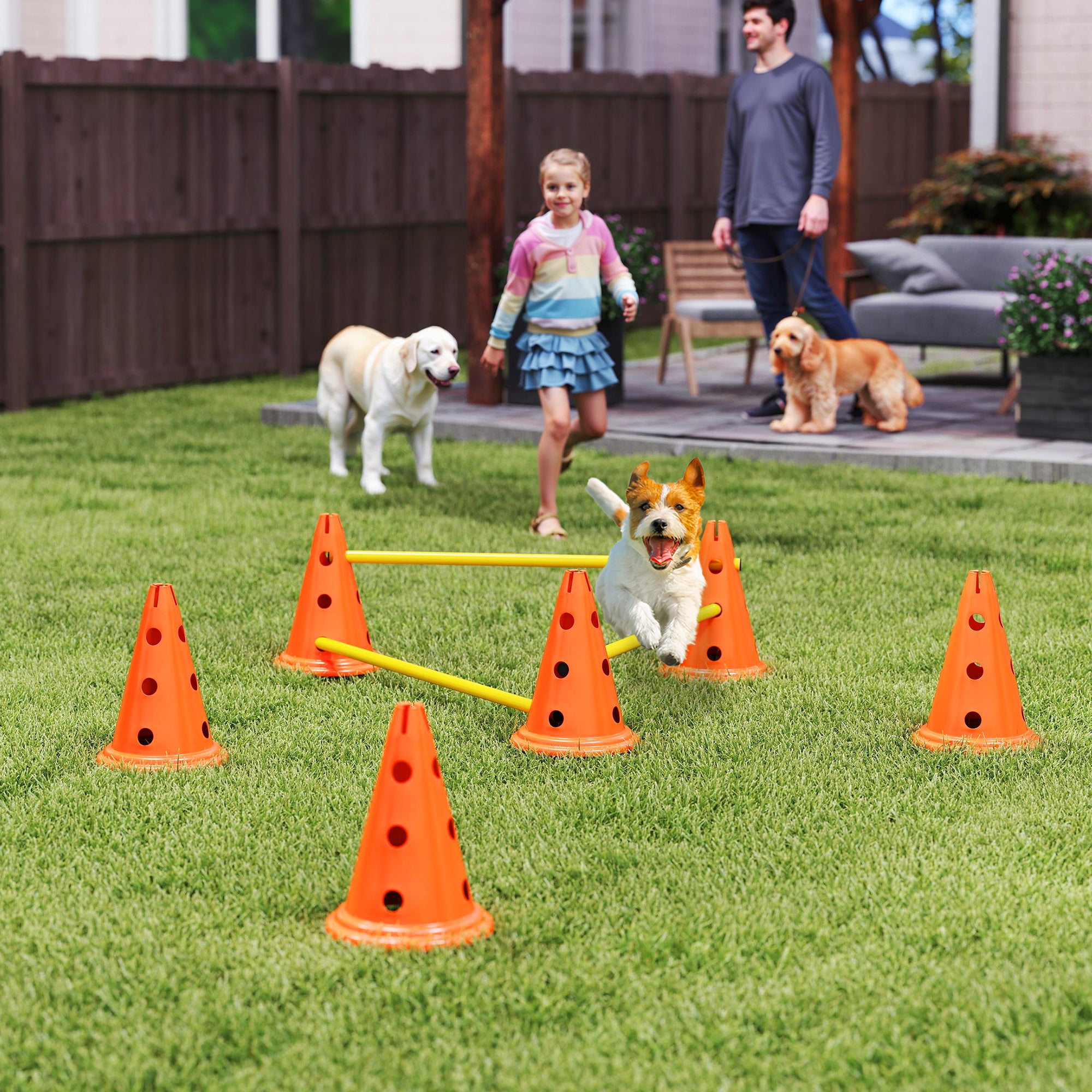 Dog Agility Hurdle Cone Set, Adjustable Obstacle Course Equipment with 6 Cones & 6 Poles, Portable Canine Agility Training Set with Carry Bag, Orange
