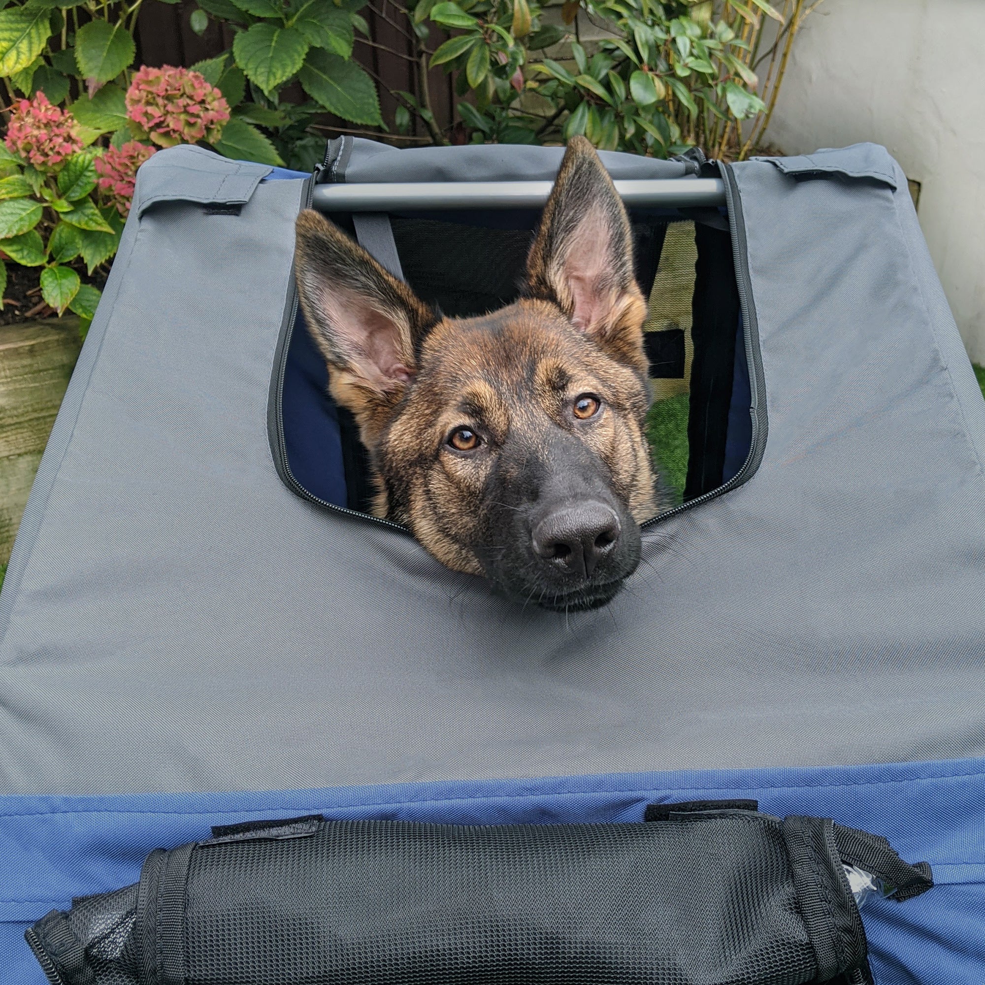 Dog Bike Trailer Pet Cart Bicycle Wagon Cargo Carrier Attachment for Travel with 3 Entrances Large Wheels for Off-Road & Mesh Screen, Blue