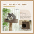 Load image into Gallery viewer, Scratching Cat Tree Post Climbing Kitten Pets Kitty Furniture with Toy, Brown
