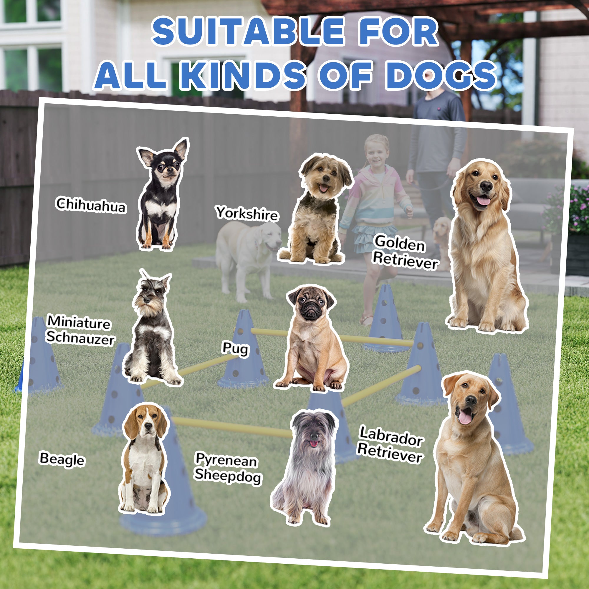 Dog Agility Equipment Set, Portable Pet Jump Training Kit for Eight Cones, Eight Poles with Carry Bag, Four-Piece Adjustable Height Jumping Obstacles, Blue