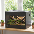 Load image into Gallery viewer, Reptile Terrarium, High-Strength Reptile Vivarium with Sliding Glass Doors, Secure Lock and Top Ventilation, Tarantula Enclosure for Bearded Dragon, Snake and Gecko, 60 x 45 x 45 cm, Black
