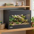 Load image into Gallery viewer, Reptile Terrarium, High-Strength Reptile Vivarium with Sliding Glass Doors, Secure Lock and Top Ventilation, Tarantula Enclosure for Bearded Dragon, Snake and Gecko, 60 x 45 x 45 cm, Black
