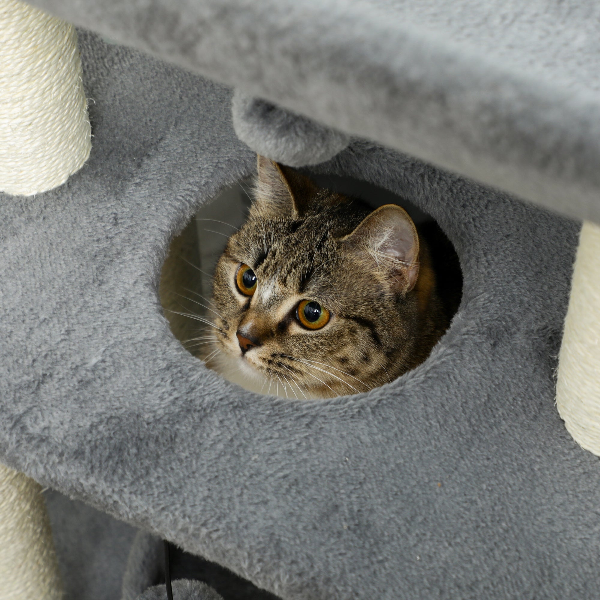 Cat Tree for Indoor Cats with Scratching Posts Pad, Kitten Tower with Bed Perch Ball Toy, 60 x 30 x 76 cm, Light Grey