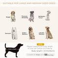 Load image into Gallery viewer, PawHut Modern Dog Couch Bed, Pet Sofa for Medium to Large Dogs or Cats, Elevated Pet Couch Sleeping Bed with Removable Seat Cushion, Dark Gray
