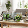 Load image into Gallery viewer, 51L Fish Tank, Glass Aquarium, Small Fish Tank with Protective Base Mat, for Shrimps, Turtles, Transparent, 60 x 30 x 30 cm
