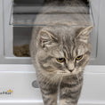 Load image into Gallery viewer, PawHut Fully Enclosed Cat Litter Box with Scoop, Hooded Cat Litter House with Drawer Type Tray, Foldable Smell Proof Cat Potty with Front Entry, Top Exit, Portable Pet Toilet with Large Space, Gray
