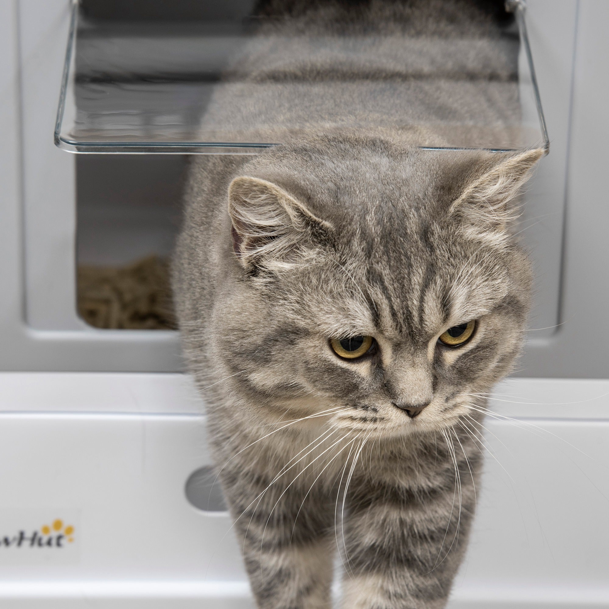 PawHut Fully Enclosed Cat Litter Box with Scoop, Hooded Cat Litter House with Drawer Type Tray, Foldable Smell Proof Cat Potty with Front Entry, Top Exit, Portable Pet Toilet with Large Space, Gray