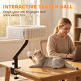 Load image into Gallery viewer, Cat Desk Bed, 360° Rotatable Raised Cat House for Desk and Window, Soft Kitten Hammock with Hanging Ball, Adjustable Clamp for Indoor Kittens, White
