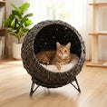 Load image into Gallery viewer, Rattan Cat Bed, Elevated Handwoven Cat Basket Bed with Soft Cushion and Metal Base, Indoor Kitty Furniture, Breathable, for Kittens, Gray
