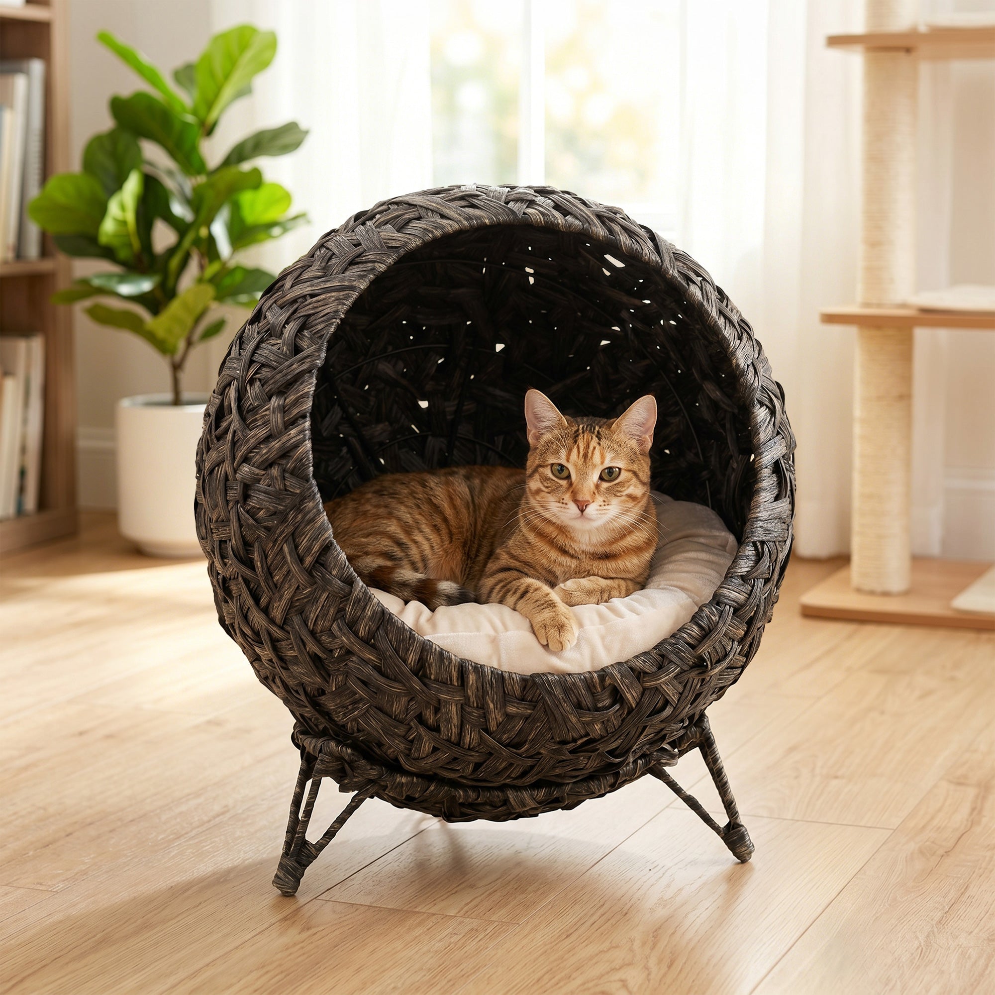 Rattan Cat Bed, Elevated Handwoven Cat Basket Bed with Soft Cushion and Metal Base, Indoor Kitty Furniture, Breathable, for Kittens, Gray
