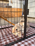 Charger l'image dans la visionneuse de la galerie, Large Rabbit Hutch with 2 Runs Ramp Tray & Asphalt Roof Yellow
