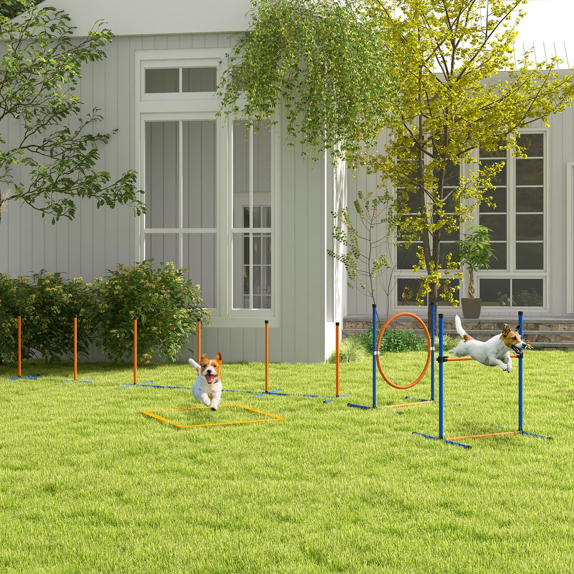 4 Pieces Dog Agility Training Equipment Dog Obstacle Course, Pet Outdoor Games with Weave Poles, Adjustable Hurdle, Jump Ring, Pause Box, Whistle, Balls, Carry Bag, Orange