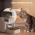 Load image into Gallery viewer, Automatic Cat Feeder w/ Stainless Steel Bowl, 4.5L WiFi Cat Food Dispenser with Timer Up to 10 Meals, Voice Recorder, Programmable Auto Pet Feeder with Portion Control, for Multi-Kittens
