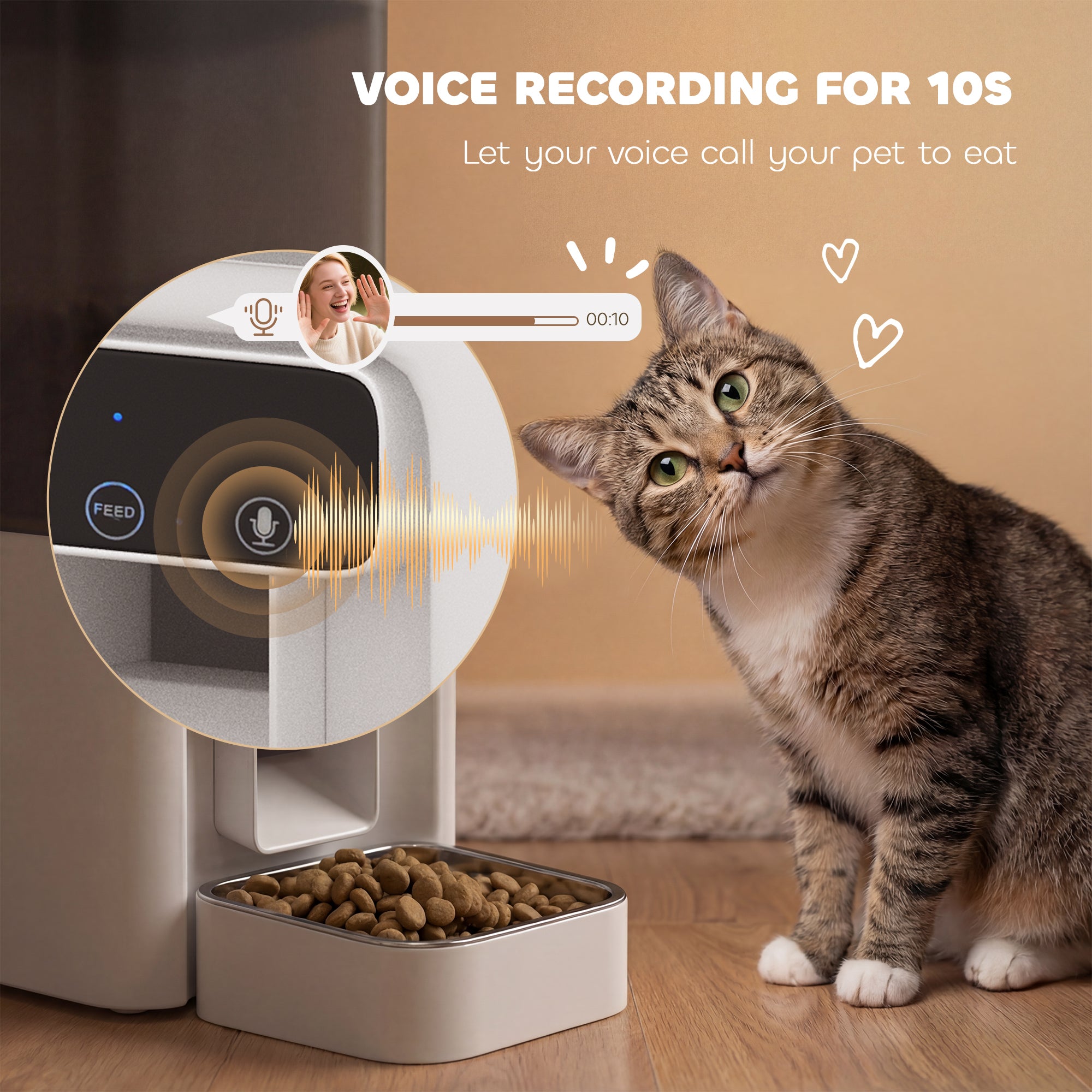 Automatic Cat Feeder w/ Stainless Steel Bowl, 4.5L WiFi Cat Food Dispenser with Timer Up to 10 Meals, Voice Recorder, Programmable Auto Pet Feeder with Portion Control, for Multi-Kittens