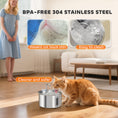 Load image into Gallery viewer, Cat Water Fountain for Drinking, 2.5L Cat Fountain Stainless Steel Automatic with Ultra-Silent Pump, Water-Level Window, 7 Filters

