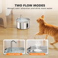 Load image into Gallery viewer, Cat Water Fountain for Drinking, 2.5L Cat Fountain Stainless Steel Automatic with Ultra-Silent Pump, Water-Level Window, 7 Filters
