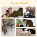 Load image into Gallery viewer, Cat Treadmill, Cat Exercise Wheel, 30 inch Kitten Running Wheel with Brake, Carpeted Runway for Exercise - Natural Wood Finish
