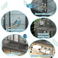 Load image into Gallery viewer, 61"H Divided Breeder Bird Cage with Rolling Stand Removable Metal Tray, Storage Shelf, Wood Perch, and Food Container, Dark Grey
