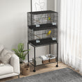 Load image into Gallery viewer, 2 Tier Bird Cage, Budgie Cage with Stand, Swing, Rope, Ladder, Wheels, Shelf, Tray, Perches, Food Containers, for Canaries, Lovebirds, Finches
