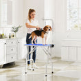 Load image into Gallery viewer, Foldable Dog Grooming Table, 32" Portable Pet Grooming Table with Height Adjustable Arm and Anti-Slip Rubber Top for Small Medium Dogs and Cats, Blue
