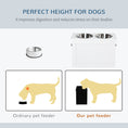 Load image into Gallery viewer, Elevated Dog Bowls for Large Dogs with Storage Dog Pet Diner Function 2 Stainless Steel Dog Bowls Elevated Base for Big-sized Dogs and Other Large Pets, White
