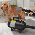Load image into Gallery viewer, Dog Hair Dryer, 2200W Pet Grooming Hair Dryer with Adjustable Temperature & Velocity, Professional Low Noise Dog Blaster with 3 Different Nozzles, Black
