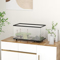 Load image into Gallery viewer, Turtle Tank, 50L Glass Turtle Aquarium with Basking Platform, Ramp, Easy Drainage, Strip Patch Thermometer, for Small Turtles, 60 x 30 x 32cm
