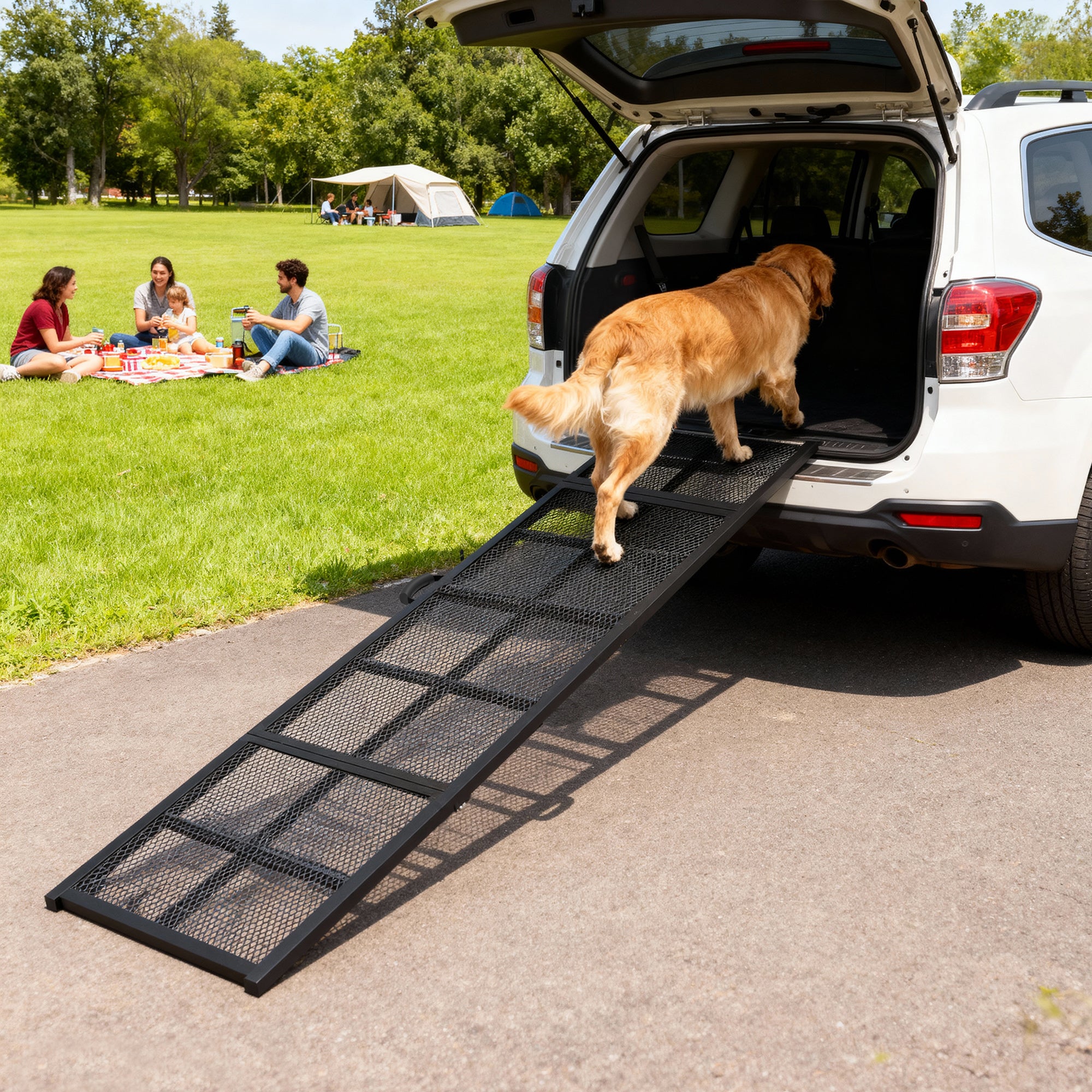 75" Dog Car Ramp, Folding Dog Ramp with Anti-Slip Surface, Extra Long & Wide Pet Stairs for Large Pets to Get Into a Car, SUV, Truck, RV, High Bed, Black