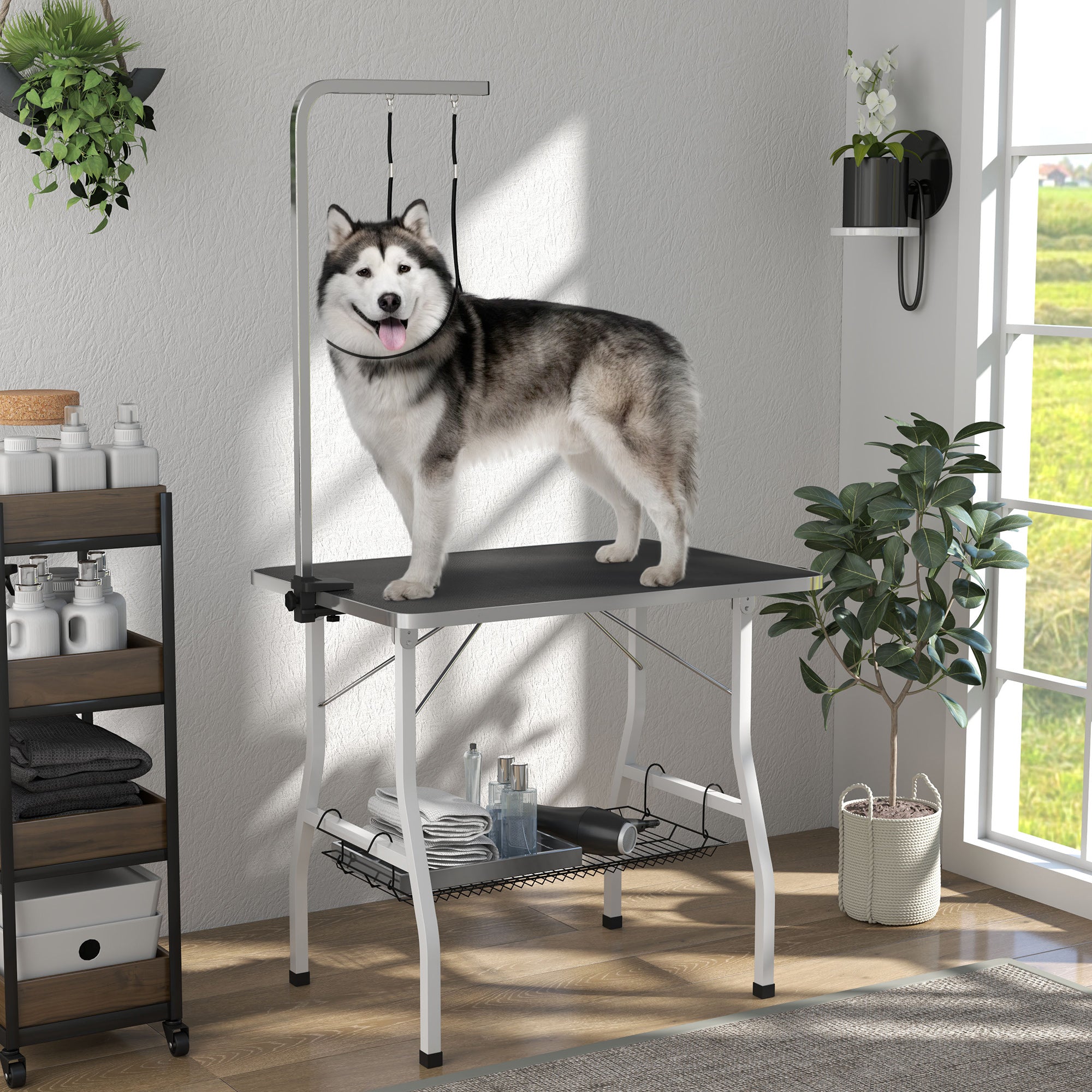 35in Dog Grooming Table with Adjustable Arm, Foldable Pet Grooming Table with Mesh Tray, Two Nooses, Rubber Surface, 35" x 24" x 61", Black