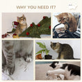 Load image into Gallery viewer, 5Pcs Cat Wall Shelf with Scratching Post, Cat Wall Shelves for Relaxing, Climbing, Cat Wall With Soft Ladder, Cat Bed, Play Ball, Grey
