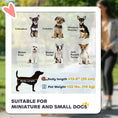 Load image into Gallery viewer, Dog Stroller, One-click Folding Pet Stroller with Cup Holder, 4 Wheels Travel Carrier w/ Brakes, 360° Swiveling Front Wheels, Storage Basket, for XS/Small Dogs Cats, Black
