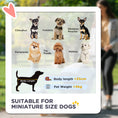 Load image into Gallery viewer, Pet Stroller, 3 in 1 Folding Dog Stroller Pram w/ 4 Wheels, Detachable Carrier, Storage Basket, Cup Holder, Safety Leashes, for Mini Dogs, Cats, Grey
