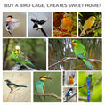 Load image into Gallery viewer, Wooden Bird Aviary Parrot Cage Pet Furniture Large Outdoor Play House with Removable Bottom Tray, 2 Doors, Asphalt Roof, 4 Perches, Brown

