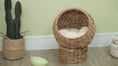 Load and play video in Gallery viewer, 20.5''H Elevated Wicker Cat Bed with Soft Cushion & Egg Chair Design, Brown
