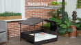 Load and play video in Gallery viewer, Dog House Outdoor with Canopy and Cushion for Small and Medium Dogs, Brown and White
