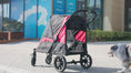 Load and play video in Gallery viewer, Pet Stroller for Large Dogs with Shock-Absorbing Frame, Safety Leashes, Brakes, Red/Black
