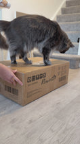 Charger et lire la vidéo dans la visionneuse de la galerie, Bac à litière pour chat en acier inoxydable, à bords hauts, avec pelle à litière en métal, n'absorbe pas les odeurs, anti-fuites et facile à nettoyer, 61 x 41 x 30 cm, gris
