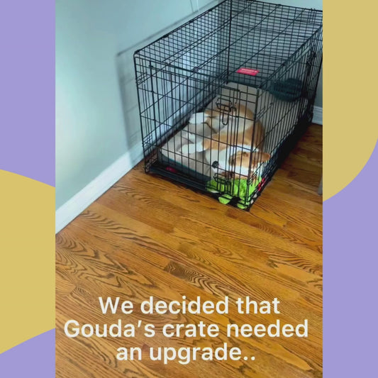 Dog Crate Furniture, Double Dog Cage for Dogs, with Divider, Sliding Doors, White