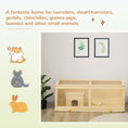 Load image into Gallery viewer, Wooden Hamster Cage, Small Animal Cage with Sliding Tray, Openable Top, Hut, Exercise Play House for Syrian Hamsters, Natural Wood Finish
