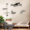 Load image into Gallery viewer, 4Pcs Cat Wall Shelf with Scratching Post, Cat Wall Shelves for Relaxing, Climbing, Cat Wall With Soft Ladder, Hammock, Play Balls, Grey
